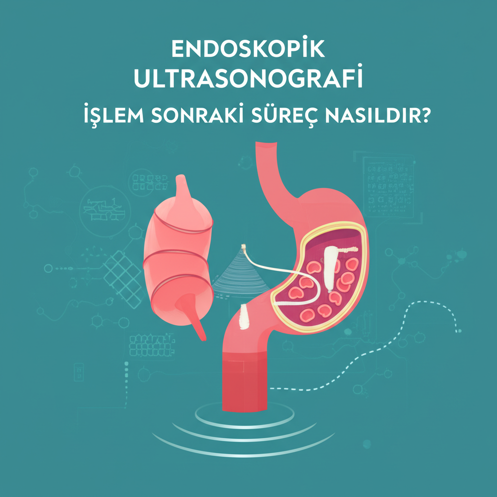 Endoskopik Ultrasonografi İşlem sonraki süreç nasıldır?