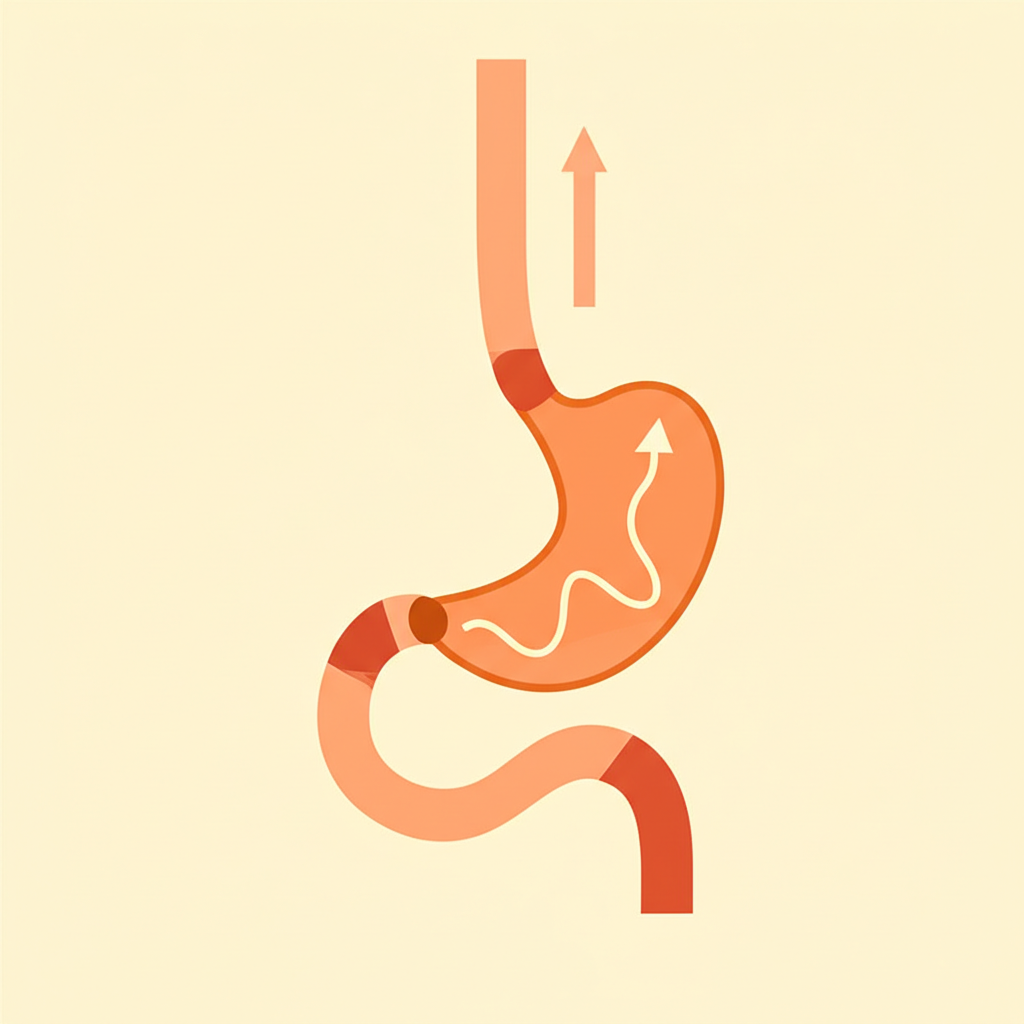 Reflü nasıl anlaşılır?